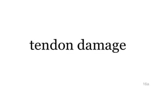 tendon damage
16a
 