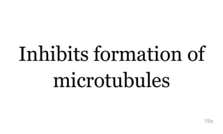 Inhibits formation of
microtubules
19a
 