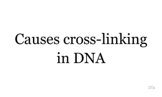 Causes cross-linking
in DNA
27a
 