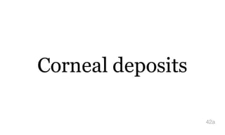 Corneal deposits
42a
 