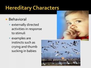 Hereditary CharactersBehavioralexternally directed activities in response to stimuliexamples are instincts such as crying and thumb sucking in babies