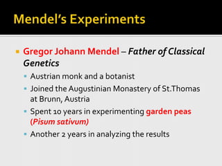 Mendel’s ExperimentsGregor Johann Mendel – Father of Classical GeneticsAustrian monk and a botanistJoined the Augustinian Monastery of St.Thomas at Brunn, Austria Spent 10 years in experimenting garden peas (Pisumsativum)Another 2 years in analyzing the results