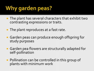 Why garden peas?The plant has several characters that exhibit two contrasting expressions or traits.The plant reproduces at a fast rate.Garden peas can produce enough offspring for study purposesGarden pea flowers are structurally adapted for self-pollinationPollination can be controlled in this group of plants with minimum work