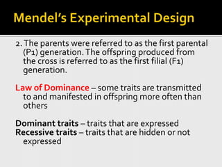 Mendel’s Experimental Design2. The parents were referred to as the first parental (P1) generation. The offspring produced from the cross is referred to as the first filial (F1) generation.Law of Dominance – some traits are transmitted to and manifested in offspring more often than othersDominant traits – traits that are expressedRecessive traits – traits that are hidden or not expressed