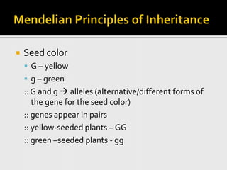 Mendelian Principles of InheritanceSeed colorG – yellowg – green:: G and g  alleles (alternative/different forms of the gene for the seed color):: genes appear in pairs :: yellow-seeded plants – GG:: green –seeded plants - gg