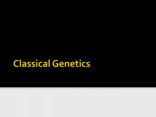 Classical Genetics 