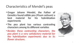 Classical Genetics 1 simply genetics.pptx