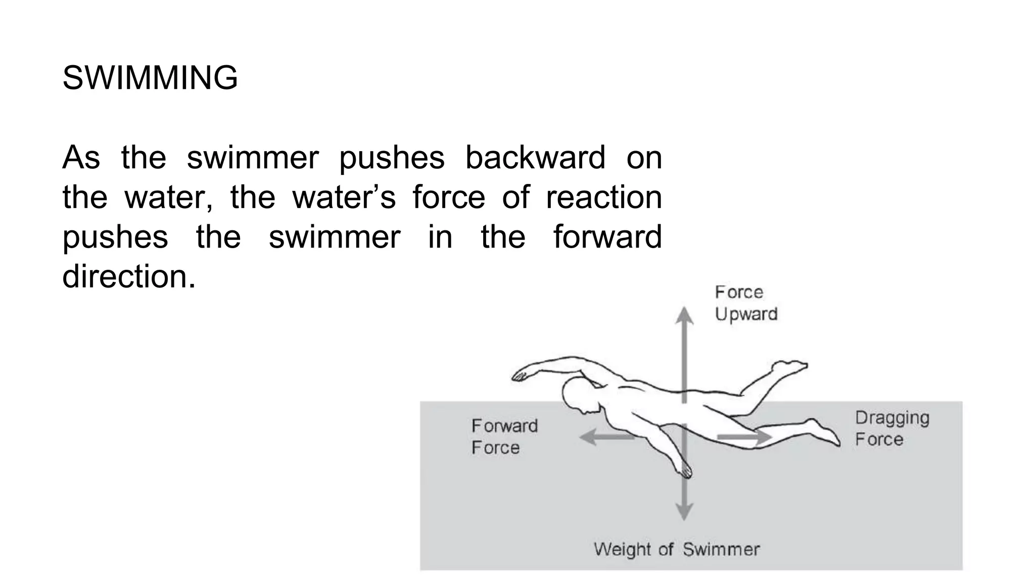 SWIMMING
As the swimmer pushes backward on
the water, the water’s force of reaction
pushes the swimmer in the forward
direction.
 