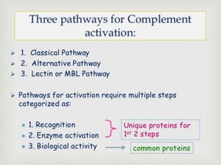 Classical pathway of complement | PPT