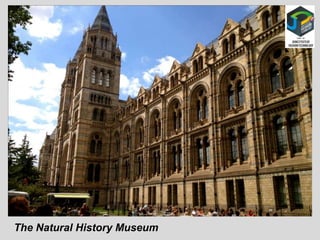 The Natural History Museum
 