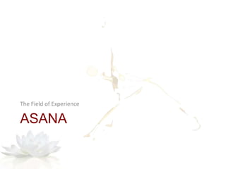 ASANA
The Field of Experience
 