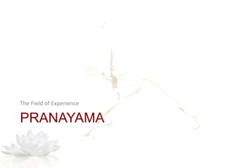 PRANAYAMA
The Field of Experience
 