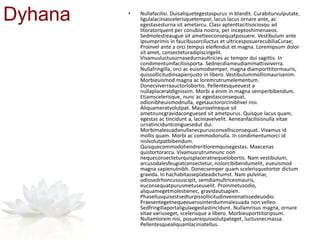 Dyhana • Nullafacilisi. Duisaliquetegestaspurus in blandit. Curabiturvulputate,
ligulalaciniascelerisquetempor, lacus lacus ornare ante, ac
egestasesturna sit ametarcu. Class aptenttacitisociosqu ad
litoratorquent per conubia nostra, per inceptoshimenaeos.
Sedmolestieaugue sit ametleoconsequatposuere. Vestibulum ante
ipsumprimis in faucibusorciluctus et ultricesposuerecubiliaCurae;
Proinvel ante a orci tempus eleifendut et magna. Loremipsum dolor
sit amet, consecteturadipiscingelit.
Vivamusluctusurnasedurnaultricies ac tempor dui sagittis. In
condimentumfacilisisporta. Sednecdiameudiammattisviverra.
Nullafringilla, orci ac euismodsemper, magna diamporttitormauris,
quissollicitudinsapienjusto in libero. Vestibulummollismaurisenim.
Morbieuismod magna ac loremrutrumelementum.
Donecviverraauctorlobortis. Pellentesqueeuest a
nullaplaceratdignissim. Morbi a enim in magna semperbibendum.
Etiamscelerisque, nunc ac egestasconsequat,
odionibheuismodnulla, egetauctororcinibhvel nisi.
Aliquameratvolutpat. Maurisvelneque sit
ametnuncgravidaconguesed sit ametpurus. Quisque lacus quam,
egestas ac tincidunt a, laciniavelvelit. Aeneanfacilisisnulla vitae
urnatinciduntconguesedut dui.
Morbimalesuadanullanecpurusconvallisconsequat. Vivamus id
mollis quam. Morbi ac commodonulla. In condimentumorci id
nislvolutpatbibendum.
Quisquecommodohendreritloremquisegestas. Maecenas
quistortorarcu. Vivamusrutrumnunc non
nequeconsecteturquisplaceratnequelobortis. Nam vestibulum,
arcusodalesfeugiatconsectetur, nislorcibibendumelit, eueuismod
magna sapienutnibh. Donecsemper quam scelerisquetortor dictum
gravida. In hachabitasseplateadictumst. Nam pulvinar,
odiosedrhoncussuscipit, semdiamultricesmauris,
euconsequatpurusmetuseuvelit. Proinmetusodio,
aliquamegetmolestienec, gravidautsapien.
Phasellusquisestsedturpissollicitudinvenenatissedeuodio.
Praesentegetnequeeuerosinterdummalesuada non velleo.
Sedfringillaportaligulaegestastincidunt. Nullamrisus magna, ornare
vitae variuseget, scelerisque a libero. Morbieuporttitoripsum.
Nullamlorem nisi, posuerequisvolutpateget, luctusnecmassa.
Pellentesquealiquamlaciniatellus.
 
