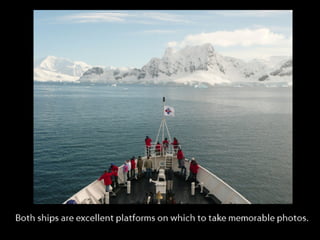 Classic Antarctica ݺߣ Show