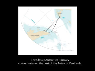 Classic Antarctica ݺߣ Show