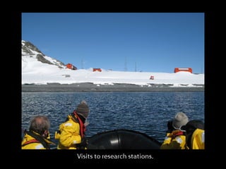 Classic Antarctica ݺߣ Show