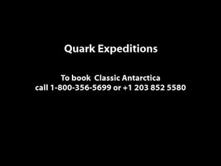 Classic Antarctica ݺߣ Show