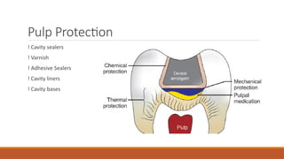 Pulp Protection
! Cavity sealers
! Varnish
! Adhesive Sealers
! Cavity liners
! Cavity bases
 