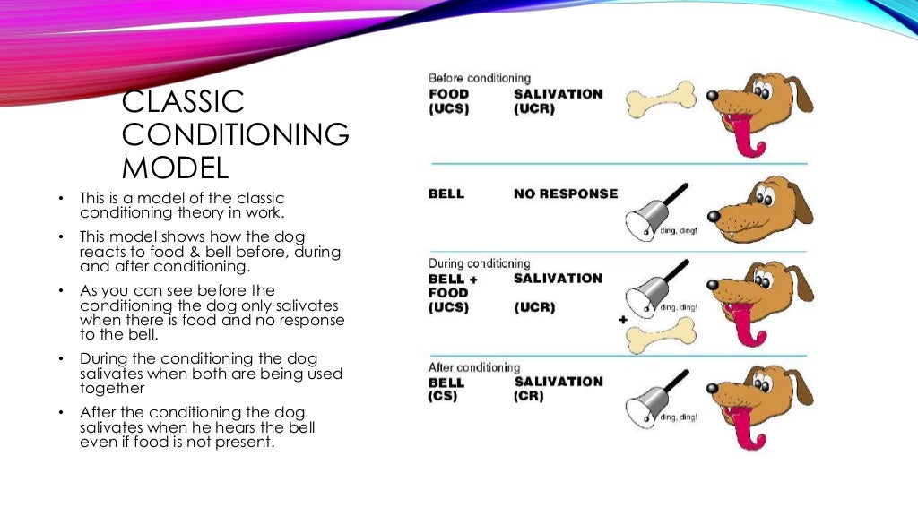 Classic conditioning