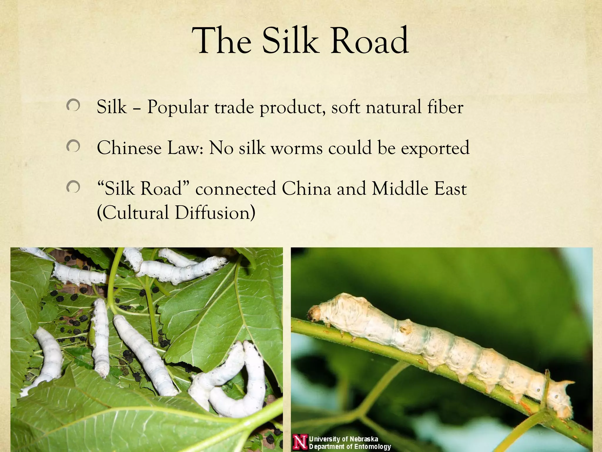 The Silk Road
Silk – Popular trade product, soft natural fiber

Chinese Law: No silk worms could be exported

“Silk Road” connected China and Middle East
(Cultural Diffusion)
 