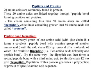 Peptides and Proteins
20 amino acids are commonly found in protein.
These 20 amino acids are linked together through “peptide bond
forming peptides and proteins.
- The chains containing less than 50 amino acids are called
“peptides”, while those containing greater than 50 amino acids are
called “proteins”.
Peptide bond formation:
α-carboxyl group of one amino acid (with side chain R1)
forms a covalent peptide bond with α-amino group of another
amino acid ( with the side chain R2) by removal of a molecule of
water. The result is : Dipeptide ( i.e. Two amino acids linked by one
peptide bond). By the same way, the dipeptide can then forms a
second peptide bond with a third amino acid (with side chain R3) to
give Tripeptide. Repetition of this process generates a polypeptide
or protein of specific amino acid sequence.
 