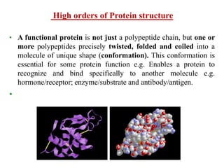 High orders of Protein structure
• A functional protein is not just a polypeptide chain, but one or
more polypeptides precisely twisted, folded and coiled into a
molecule of unique shape (conformation). This conformation is
essential for some protein function e.g. Enables a protein to
recognize and bind specifically to another molecule e.g.
hormone/receptor; enzyme/substrate and antibody/antigen.
•
 