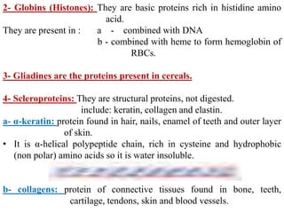 2- Globins (Histones): They are basic proteins rich in histidine amino
acid.
They are present in : a - combined with DNA
b - combined with heme to form hemoglobin of
RBCs.
3- Gliadines are the proteins present in cereals.
4- Scleroproteins: They are structural proteins, not digested.
include: keratin, collagen and elastin.
a- α-keratin: protein found in hair, nails, enamel of teeth and outer layer
of skin.
• It is α-helical polypeptide chain, rich in cysteine and hydrophobic
(non polar) amino acids so it is water insoluble.
b- collagens: protein of connective tissues found in bone, teeth,
cartilage, tendons, skin and blood vessels.
 
