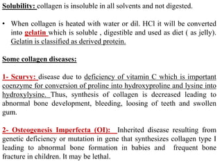 Solubility: collagen is insoluble in all solvents and not digested.
• When collagen is heated with water or dil. HCl it will be converted
into gelatin which is soluble , digestible and used as diet ( as jelly).
Gelatin is classified as derived protein.
Some collagen diseases:
1- Scurvy: disease due to deficiency of vitamin C which is important
coenzyme for conversion of proline into hydroxyproline and lysine into
hydroxylysine. Thus, synthesis of collagen is decreased leading to
abnormal bone development, bleeding, loosing of teeth and swollen
gum.
2- Osteogenesis Imperfecta (OI): Inherited disease resulting from
genetic deficiency or mutation in gene that synthesizes collagen type I
leading to abnormal bone formation in babies and frequent bone
fracture in children. It may be lethal.
 