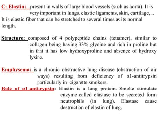 C- Elastin: present in walls of large blood vessels (such as aorta). It is
very important in lungs, elastic ligaments, skin, cartilage, ..
It is elastic fiber that can be stretched to several times as its normal
length.
Structure: composed of 4 polypeptide chains (tetramer), similar to
collagen being having 33% glycine and rich in proline but
in that it has low hydroxyproline and absence of hydroxy
lysine.
Emphysema: is a chronic obstructive lung disease (obstruction of air
ways) resulting from deficiency of α1-antitrypsin
particularly in cigarette smokers.
Role of α1-antitrypsin: Elastin is a lung protein. Smoke stimulate
enzyme called elastase to be secreted form
neutrophils (in lung). Elastase cause
destruction of elastin of lung.
 