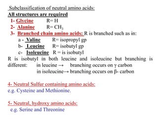 Subclassification of neutral amino acids:
All structures are required
1- Glycine R= H
2- Alanine R= CH3
3- Branched chain amino acids: R is branched such as in:
a - Valine R= isopropyl gp
b- Leucine R= isobutyl gp
c- Isoleucine R = is isobutyl
R is isobutyl in both leucine and isoleucine but branching is
different: in leucine → branching occurs on γ carbon
in isoleucine→ branching occurs on β- carbon
4- Neutral Sulfur containing amino acids:
e.g. Cysteine and Methionine.
5- Neutral, hydroxy amino acids:
e.g. Serine and Threonine
 