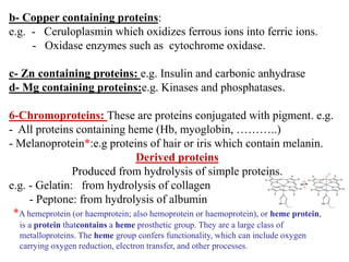 b- Copper containing proteins:
e.g. - Ceruloplasmin which oxidizes ferrous ions into ferric ions.
- Oxidase enzymes such as cytochrome oxidase.
c- Zn containing proteins: e.g. Insulin and carbonic anhydrase
d- Mg containing proteins:e.g. Kinases and phosphatases.
6-Chromoproteins: These are proteins conjugated with pigment. e.g.
- All proteins containing heme (Hb, myoglobin, ………..)
- Melanoprotein*:e.g proteins of hair or iris which contain melanin.
Derived proteins
Produced from hydrolysis of simple proteins.
e.g. - Gelatin: from hydrolysis of collagen
- Peptone: from hydrolysis of albumin
*A hemeprotein (or haemprotein; also hemoprotein or haemoprotein), or heme protein,
is a protein thatcontains a heme prosthetic group. They are a large class of
metalloproteins. The heme group confers functionality, which can include oxygen
carrying oxygen reduction, electron transfer, and other processes.
 