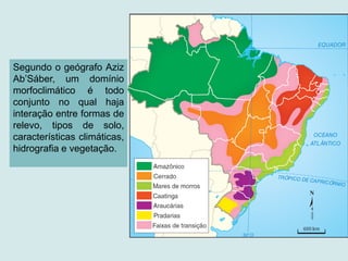 Segundo o geógrafo Aziz
Ab’Sáber, um domínio
morfoclimático é todo
conjunto no qual haja
interação entre formas de
relevo, tipos de solo,
características climáticas,
hidrografia e vegetação.
 