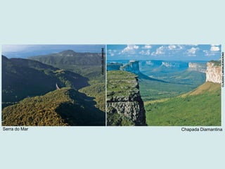 Serra do Mar Chapada Diamantina
FABIOCOLOMBINI
CLAUDIOLARANJEIRA/KINO
 