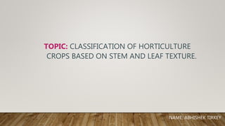 NAME: ABHISHEK TIRKEY
TOPIC: CLASSIFICATION OF HORTICULTURE
CROPS BASED ON STEM AND LEAF TEXTURE.
 