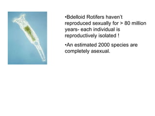 •Bdelloid Rotifers haven’t
reproduced sexually for > 80 million
years- each individual is
reproductively isolated !
•An estimated 2000 species are
completely asexual.
 