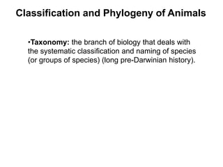 Classification and Phylogeny of Animals
•Taxonomy: the branch of biology that deals with
the systematic classification and naming of species
(or groups of species) (long pre-Darwinian history).
 