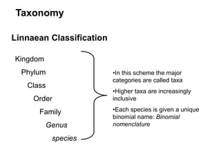 Linnaean Classification
Kingdom
Phylum
Class
Order
Family
Genus
species
•In this scheme the major
categories are called taxa
•Higher taxa are increasingly
inclusive
•Each species is given a unique
binomial name: Binomial
nomenclature
Taxonomy
 