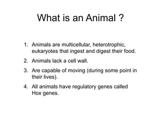What is an Animal ?
1. Animals are multicellular, heterotrophic,
eukaryotes that ingest and digest their food.
2. Animals lack a cell wall.
3. Are capable of moving (during some point in
their lives).
4. All animals have regulatory genes called
Hox genes.
 
