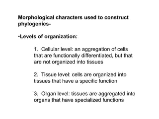 Morphological characters used to construct
phylogenies-
•Levels of organization:
1. Cellular level: an aggregation of cells
that are functionally differentiated, but that
are not organized into tissues
2. Tissue level: cells are organized into
tissues that have a specific function
3. Organ level: tissues are aggregated into
organs that have specialized functions
 