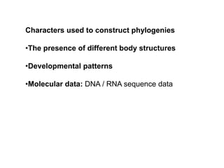 Characters used to construct phylogenies
•The presence of different body structures
•Developmental patterns
•Molecular data: DNA / RNA sequence data
 