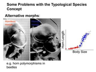 Alternative morphs:
e.g. horn polymorphisms in
beetles
Some Problems with the Typological Species
Concept
Hornless
morph
Horned
morph
 