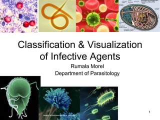 1
Classification & Visualization
of Infective Agents
Rumala Morel
Department of Parasitology
 