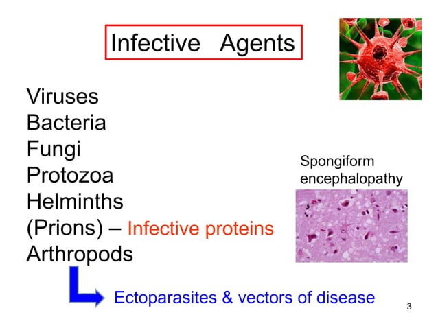 Classifiaction & visualization of infective agents | PPTX
