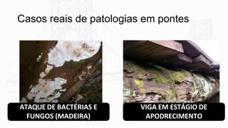 Casos reais de patologias em pontes
ATAQUE DE BACTÉRIAS E
FUNGOS (MADEIRA)
VIGA EM ESTÁGIO DE
APODRECIMENTO
 