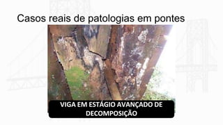 Casos reais de patologias em pontes
VIGA EM ESTÁGIO AVANÇADO DE
DECOMPOSIÇÃO
 