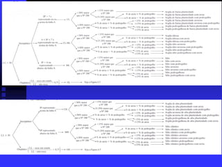 Classificac3a7c3a3o dos-solos-aashto-sucs