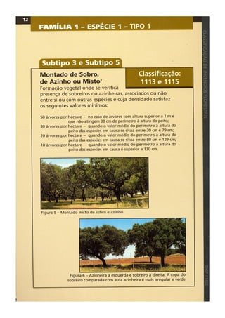 Classificacao de incendios florestais