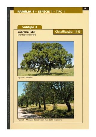 Classificacao de incendios florestais