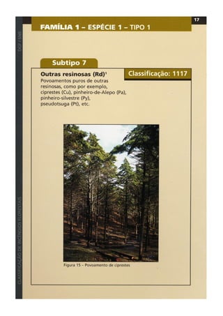 Classificacao de incendios florestais