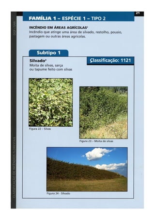 Classificacao de incendios florestais